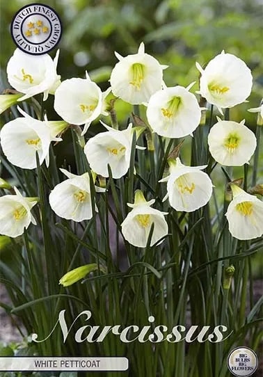 Narcissus White Petticoat 7st
