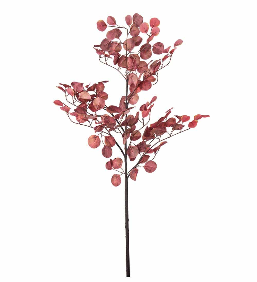 Konstväxt Eucalyptus